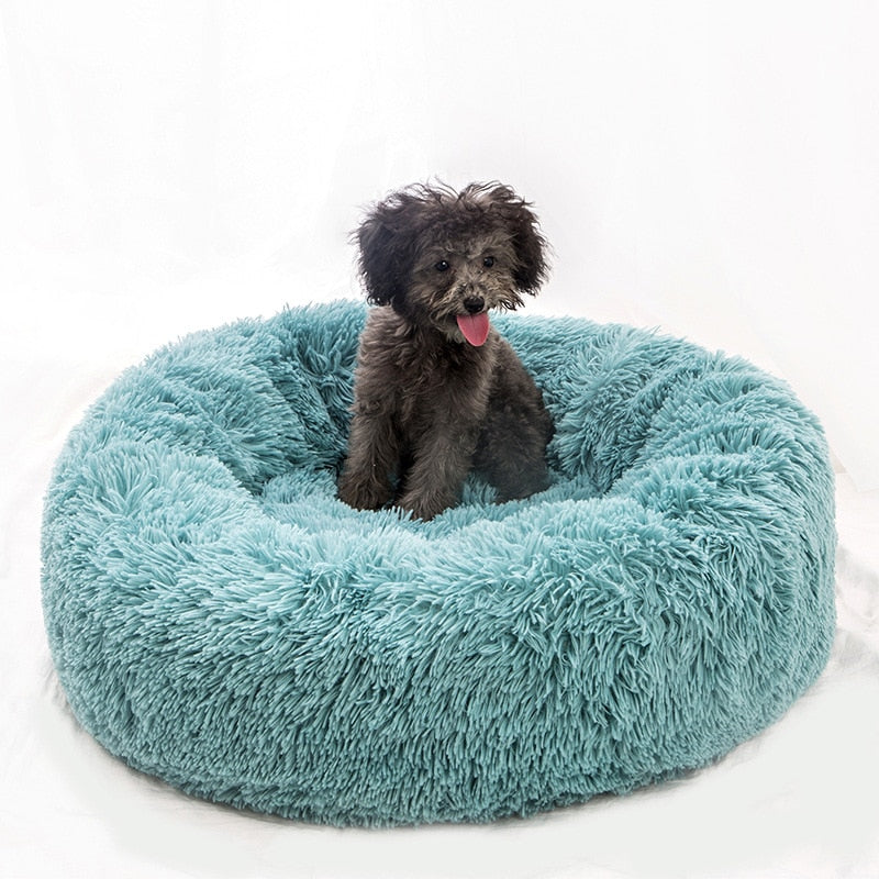 Sofa Pet Bed You 'll Love in 2020