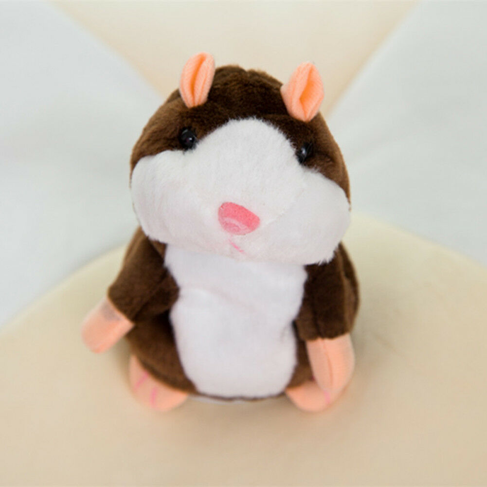 Cute Cheeky Hamster
