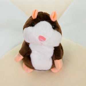 Cute Cheeky Hamster