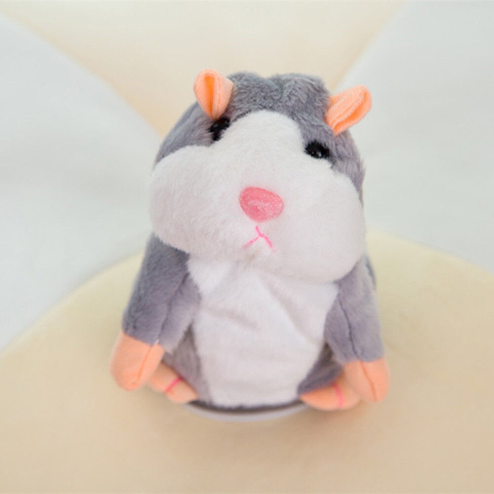 Cute Cheeky Hamster