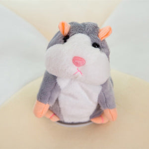 Cute Cheeky Hamster