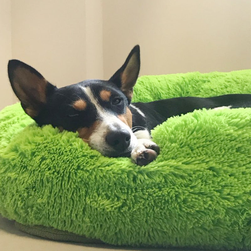 Sofa Pet Bed You 'll Love in 2020