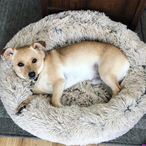 Sofa Pet Bed You 'll Love in 2020