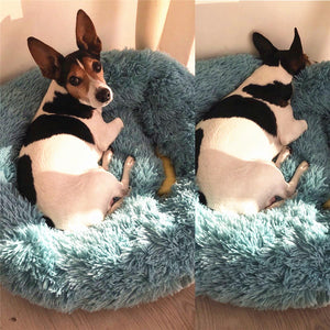 Sofa Pet Bed You 'll Love in 2020