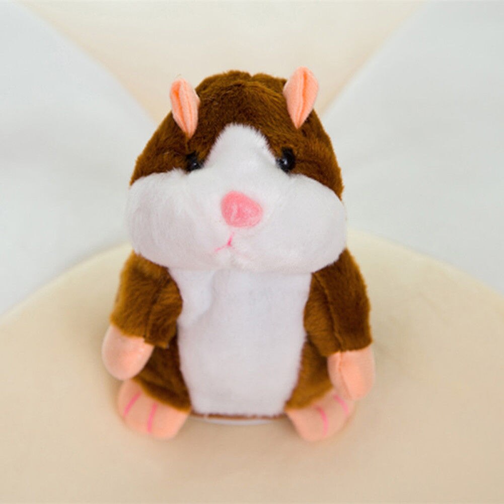 Cute Cheeky Hamster