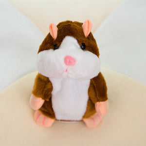 Cute Cheeky Hamster