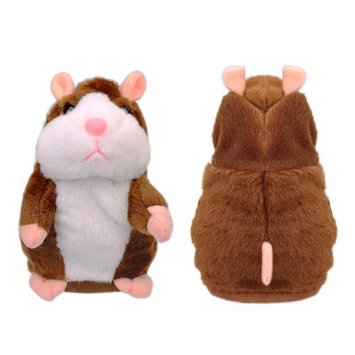 Cute Cheeky Hamster