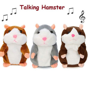 Cute Cheeky Hamster