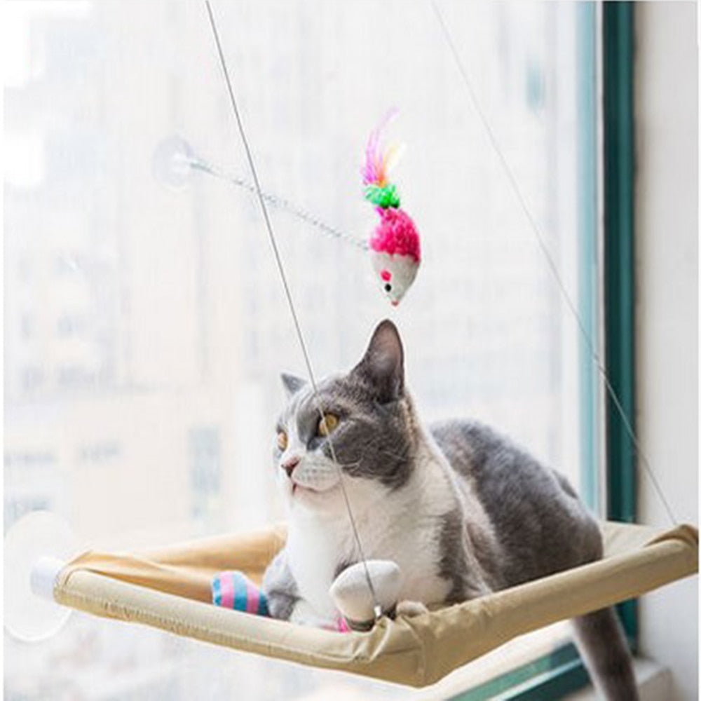 Window Mounted Cat Bed