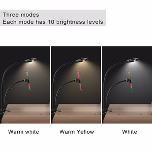 Studio Led Light With Cell Phone Holder