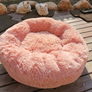 Sofa Pet Bed You 'll Love in 2020