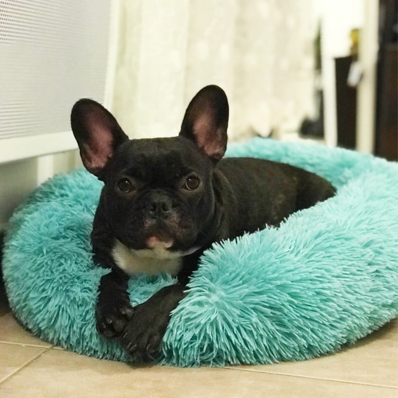 Sofa Pet Bed You 'll Love in 2020